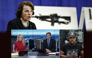 Dianne Feinstein Introduces Bill To Ban All Commonly Owned AR-15s & Magazines Over 10 Rounds – S736