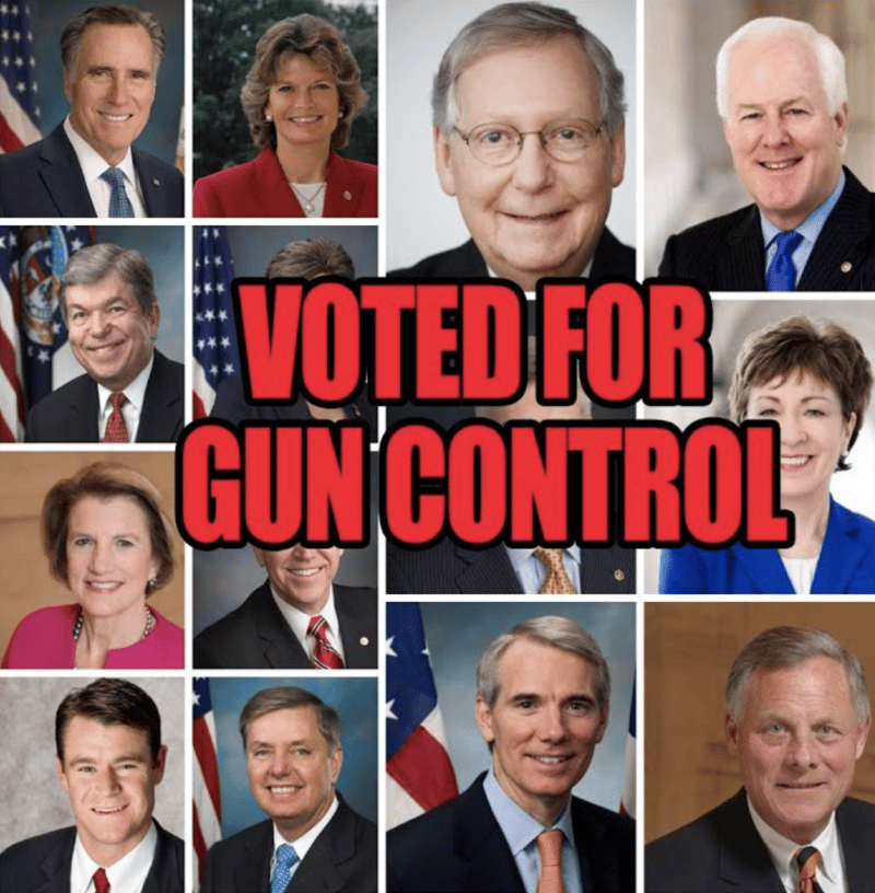 14 Senate Republicans Agreed To Gun Control That We Need To Stop