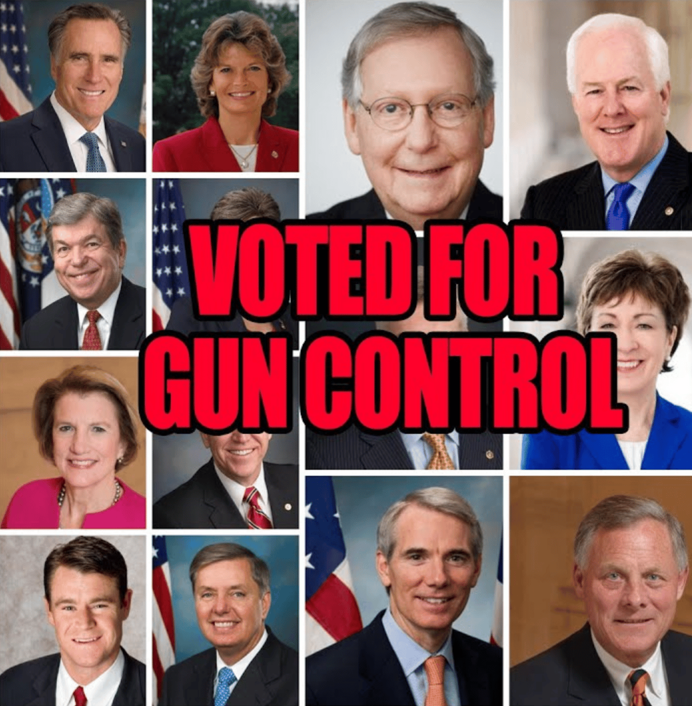 14 Senate Republicans Agreed To Gun Control That We Need To Stop